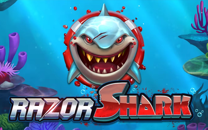 Dive for deep-sea treasures in the Razor Shark slot at 1win.